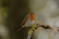 /album/galerie-de-photos-page-daccueil3/a2017-11-07-chavornay-408-jpg/